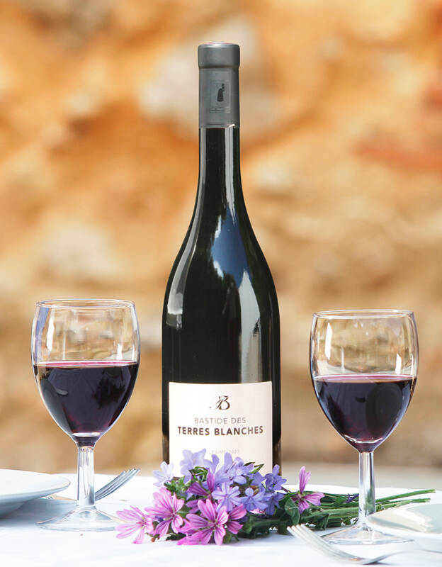 Bastide des Terres blanches - Côtes de Provence - rouge 2022